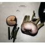 Motorpsycho - Motorpsycho-still Life With Eggplant