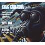 King Crimson - Happy With What You Have To Be Happy With/Level Fi
