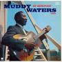 Muddy Waters - At Newport 1960 (Ltd.Edt 180g