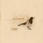 La Dispute - Somewhere At The Bottom Of The River...(Ten Year..