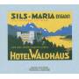 J�rg Kienberger / Trio Farkas - Hotel Waldhaus,Sils-Maria Engadin