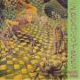 Screaming Trees - Invisible Lantern Lp
