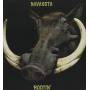 Navasota - Rootin