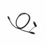 Terra - Wortmann AG 1480267 USB Kabel USB 3.2 Gen 2 (3.1 Gen 2) USB A/USB C USB C Schwarz (TYP-C KABEL F�R DUD15Y0)