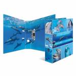 Herma - 7167 - Mehrfarben - Karton - A4 - Portr�t (7167)