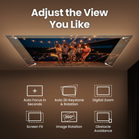 Benq 17