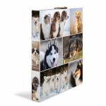 Herma - Ringbuch A4 Hunde 4D