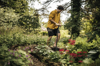 Fiskars 3