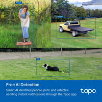 Tapo 11