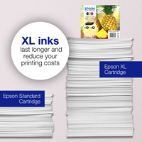 Ink Consumer Mpg Sx - Cartucce Ink Ananas 4-col 604xl